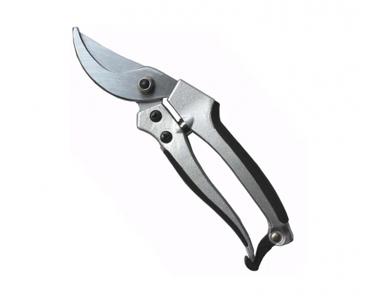 Pruning Shears