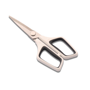 Scissor