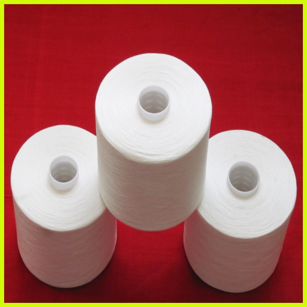 Polyester Yarn