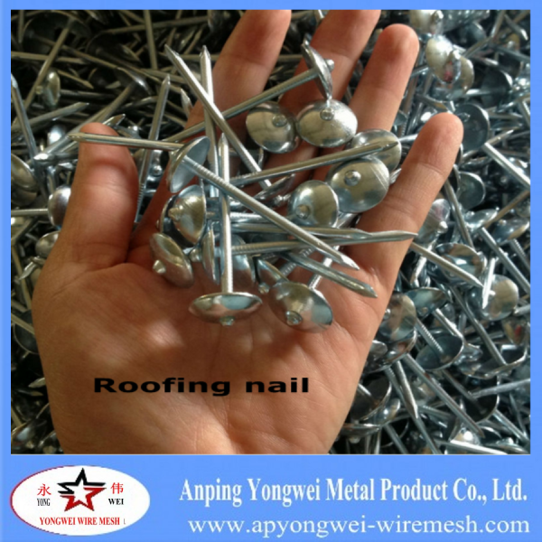 Roofing nail