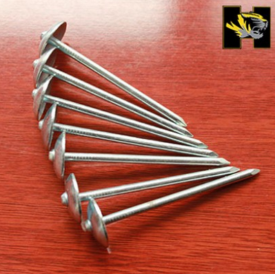 Roofing Nail