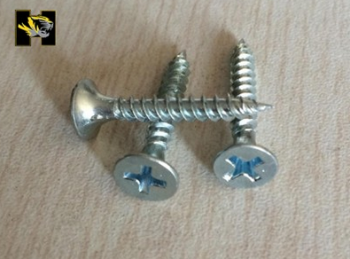 Drywall Screw