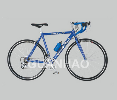 Road Bicycle