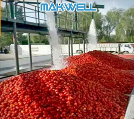 TOMATO SAUCE MAKING MACHINE PRICE