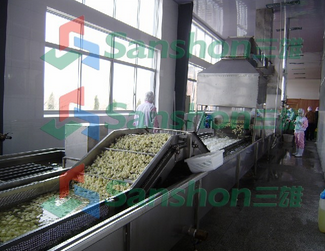 Quick-frozen vegetables production line