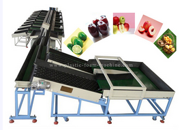 Double Line Electronic Fruit Grading Machine