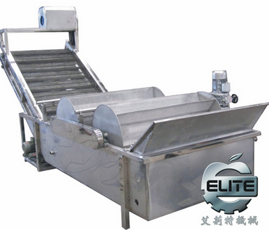 Fruit Washing Machinery