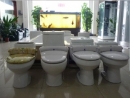 Foshan Budy Sanitary Ware Co., Ltd.