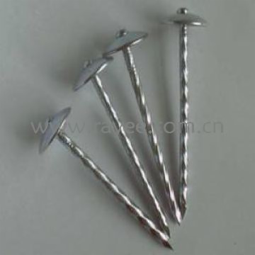 Umbrella Roofing Nail