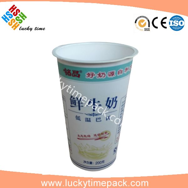 Paper Cup