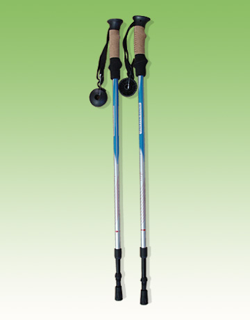 Walking Sticks