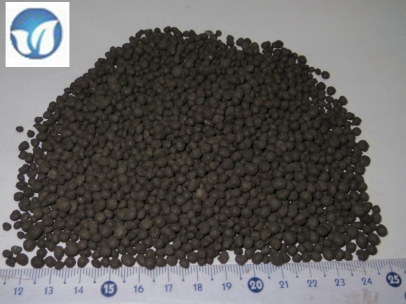 Seaweed extract bio fertilizer