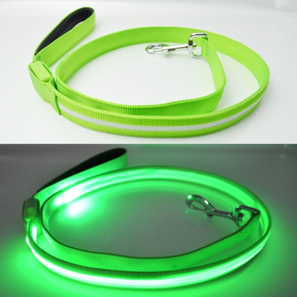 LED Pet Leash