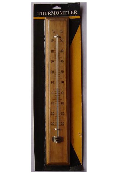 Household Thermometers