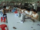 Dongguan Tsanzy Arts & Crafts Factory