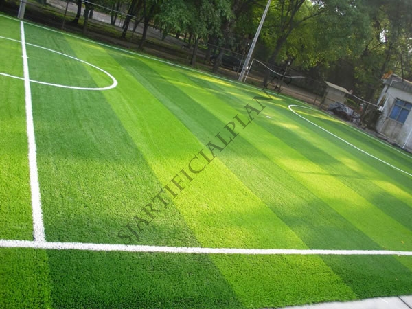 Artificial Grass